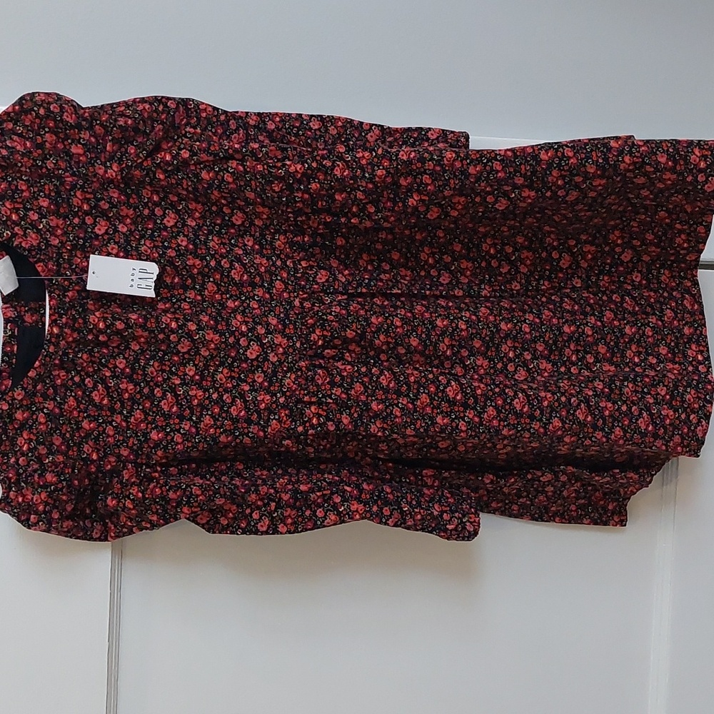 Baby Gap Girls Floral Dress
